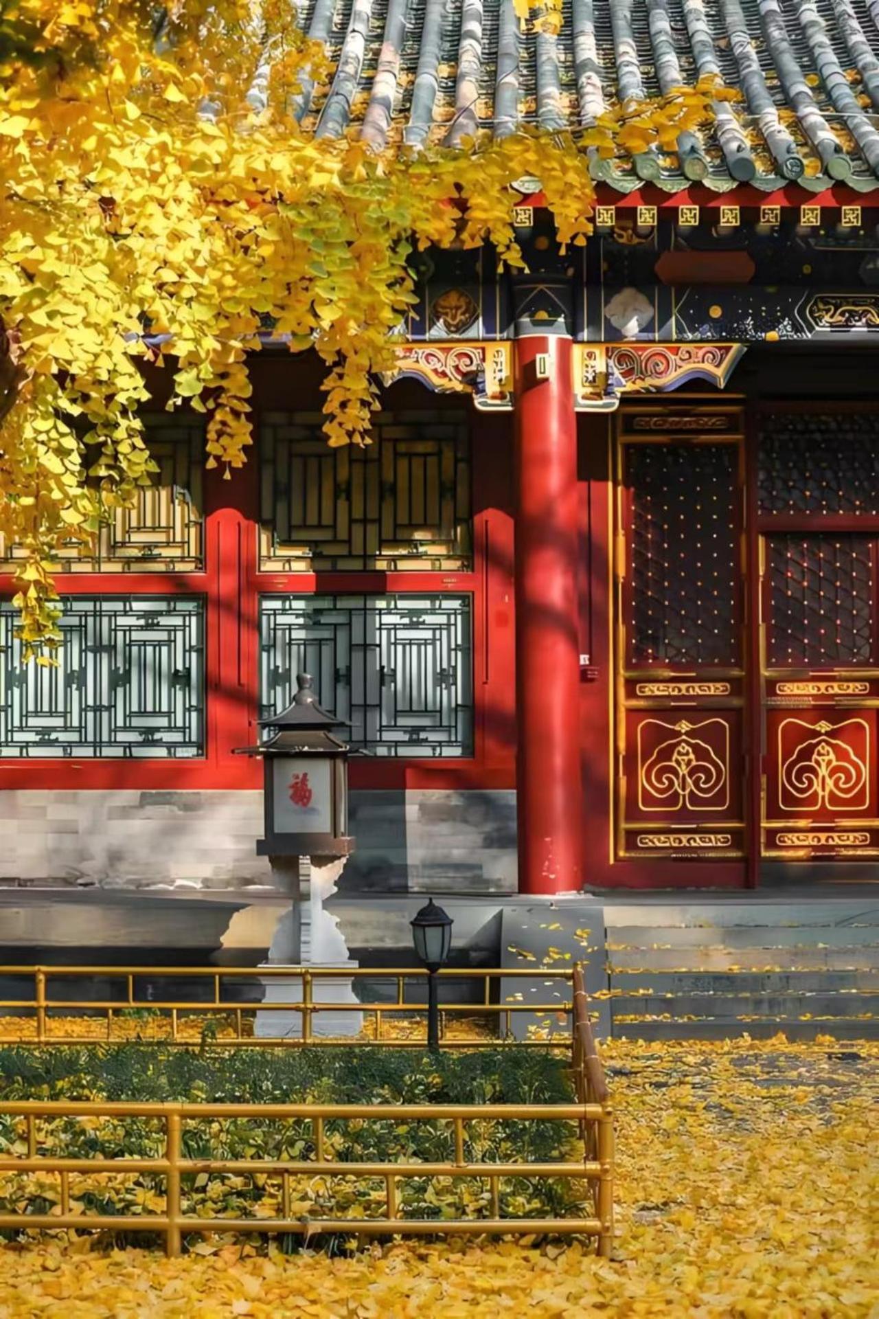 Beijing Tangfu Hotel - Located In The City Center Adjacent To The Subway Station Close To Nanluoguxiang Gulou Lama Temple Tiananmen Square Forbidden City Temple Of Heaven Providing Laundry Car Rental And Ticketing Services Extérieur photo